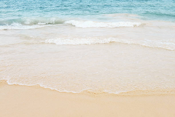 istock sandy beach and the sea 501296356