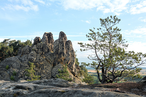 Devil's Wall at Timmenrode in the Harz National Park