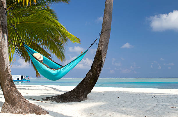 istock Young man resting in a hammock by the beach 501296465