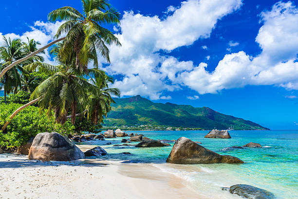 baie di beau vallon-spiaggia sull'isola di mahe alle seychelles - beach tropical climate island palm tree foto e immagini stock