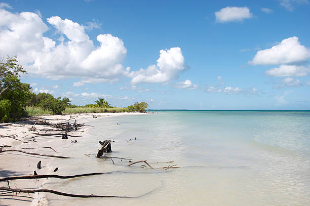 istock Cayo Jutias, Cuba 501298457