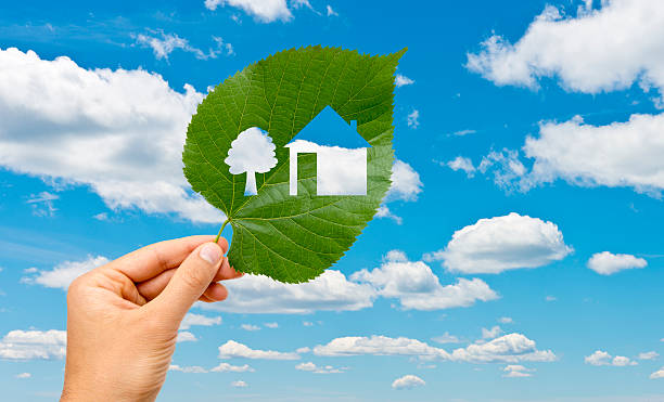 istock Hand holding leaf with a house cutted against sky 501298777