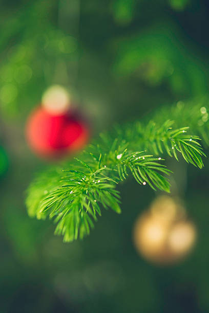 Christmas tree branches with out of focus Christmas ornaments
