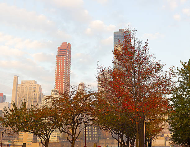istock Autumn in New York City. 501331522