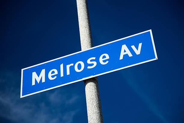 istock Melrose Ave. sign with blue sky in Los Angeles 501334810