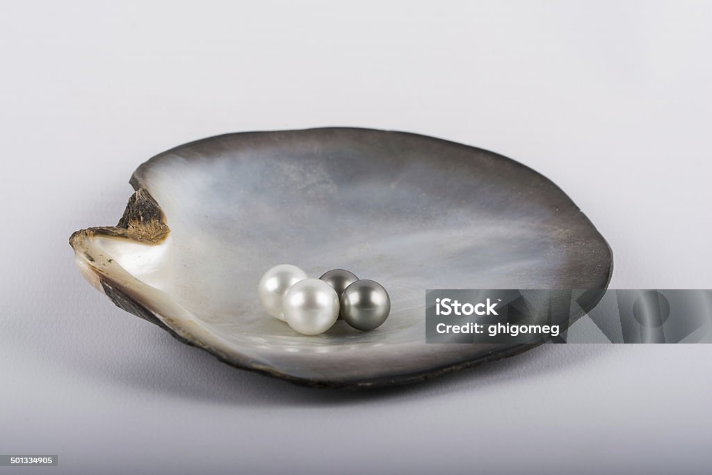 Tahitian pearls Black and white tahitian pearls in a oyster Oyster Pearl Stock Photo