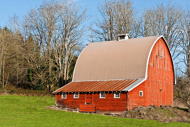 Red Barn Nothing speaks of rural America like an old barn. Sadly, many of these wooden relics have fallen into disrepair or simply disappeared. The few still remaining remind us of a time when small farms produced most of the food we eat. This bright red barn sits above the Green River Valley near Black Diamond, Washington State, USA. jeff goulden barn stock pictures, royalty-free photos & images