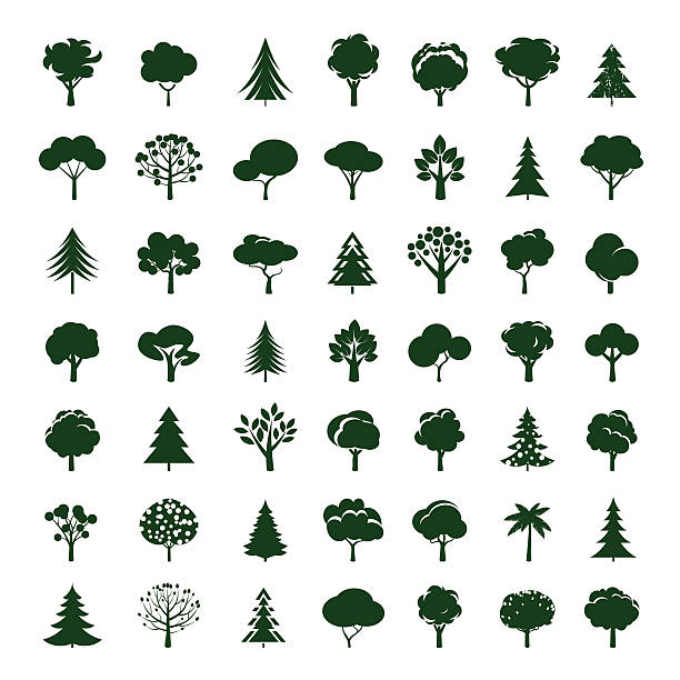 세트의 그레이 나무. 벡터 기호까지 및 아이콘크기. - tree environment oak tree symbol stock illustrations