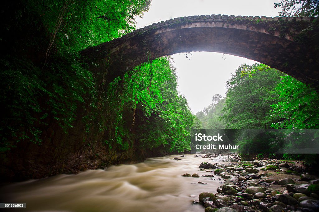 Ponte de Pedra Antiga - Royalty-free Mulheres Foto de stock