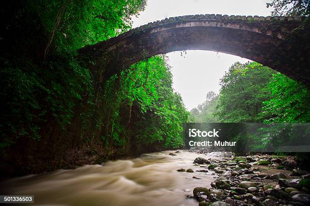 Ponte De Pedra Antiga - Fotografias de stock e mais imagens de Mulheres - Mulheres, Adulto, Ajardinado