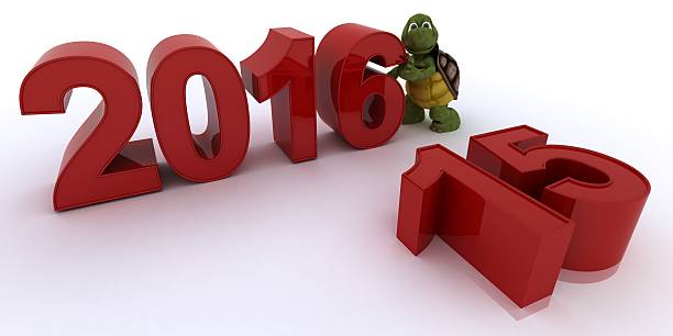 istock tortoise bringing in the new year 501336856