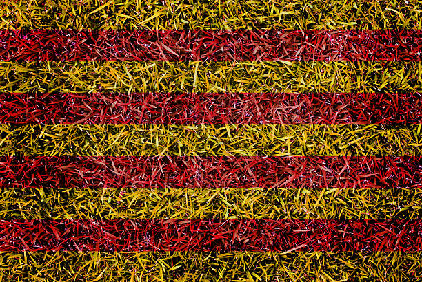 istock Catalonia Flag color grass texture background 501337955