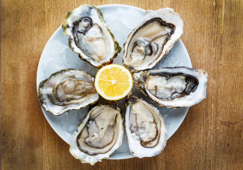 Fresh oysters in a white plate with ice and lemon on a wooden desk