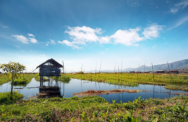 istock Inle Lake Myanmar, Shan state. Floating gardens 501340407