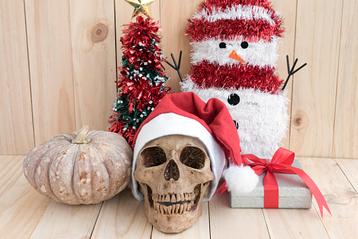 Still life with skull on wood background