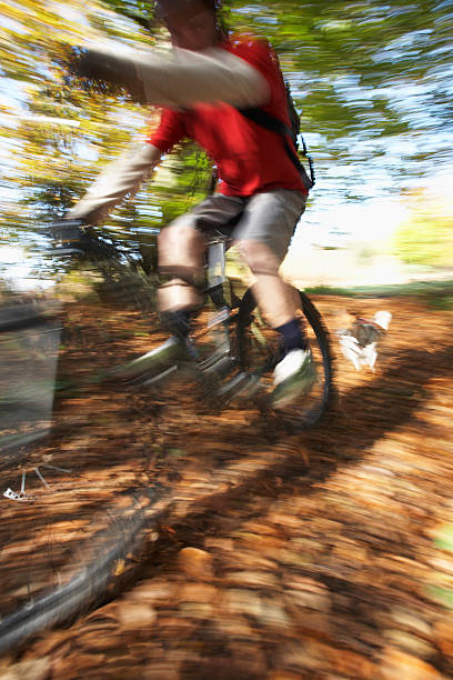 istock Dog Chasing Man On Mountain Bike 501340697