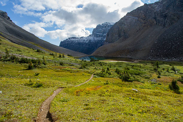istock Borgeau Lake Trail 501340759