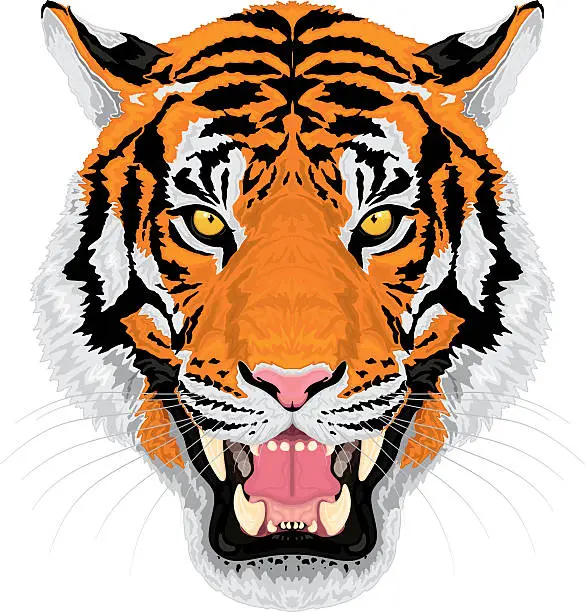 Vector illustration of Growling Tiger