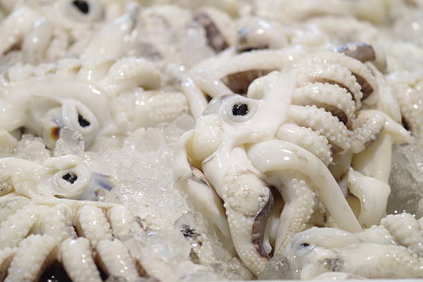 istock Raw cuttlefish on ice  at the supermarket 501341248
