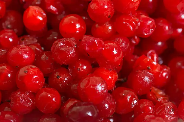 red frozen berry