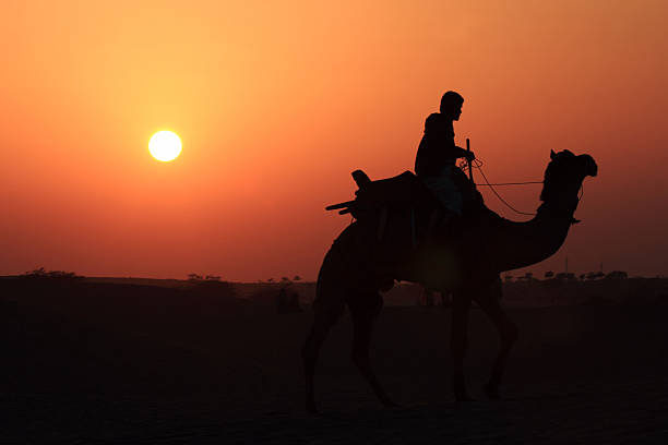 istock Silhouette of Rajasthani man with his camel 501341770