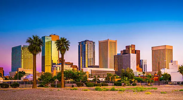Downtown skyscrapers with palm trees and greenery in Phoenix, Arizona during sunset.