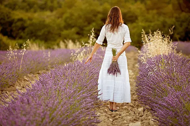 Photo of Beautiful young woman, holding lavender in a field