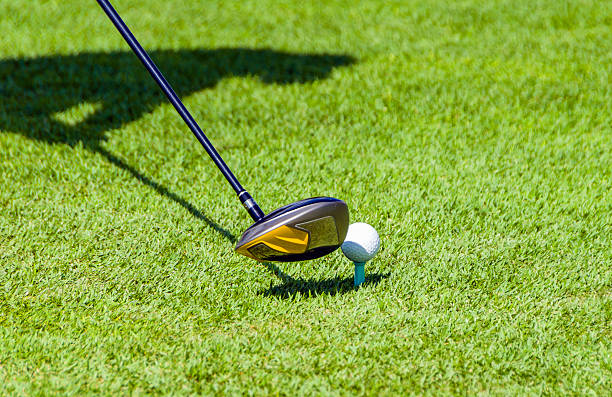 istock Golf equipment, golf ball with tee on course and stick 501353824