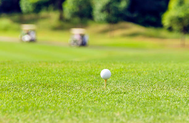 istock Golf equipment, golf ball with tee on course and stick 501353914