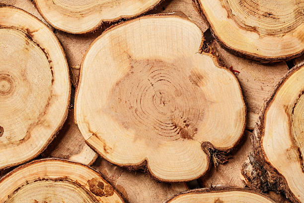 istock Wooden trivet for hot pan 501354868