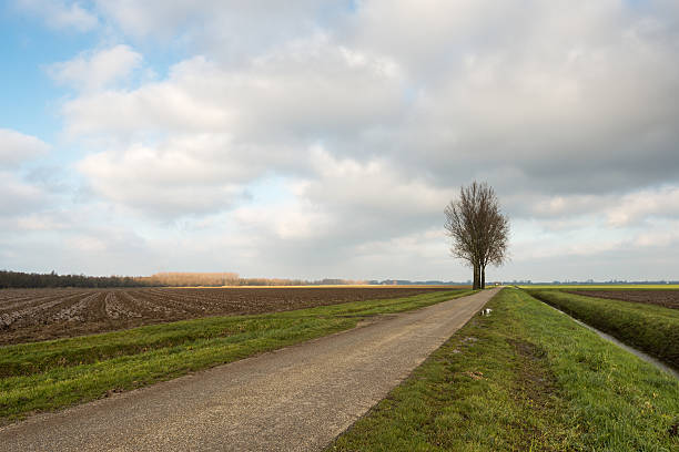 istock Rural landscape in the fall season 501357750