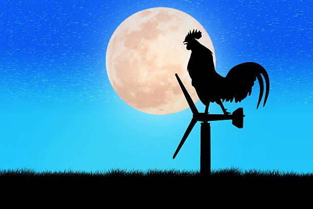 istock Roosters crow stand on a wind turbine 501358076