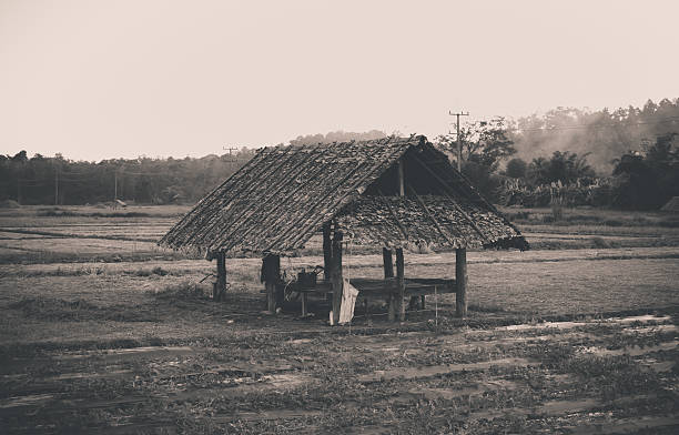 natural feild at north of thailand in black and white