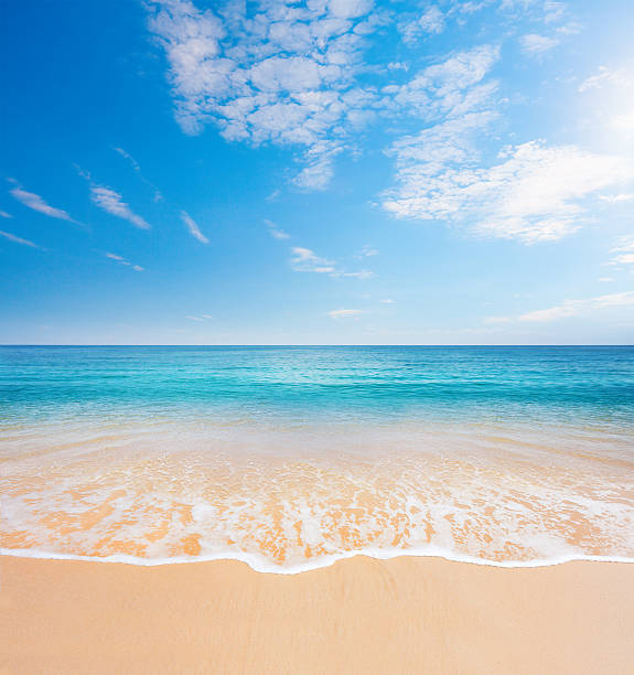 istock beach and tropical sea 501358348