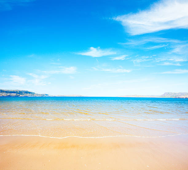 istock beach and tropical sea 501358594