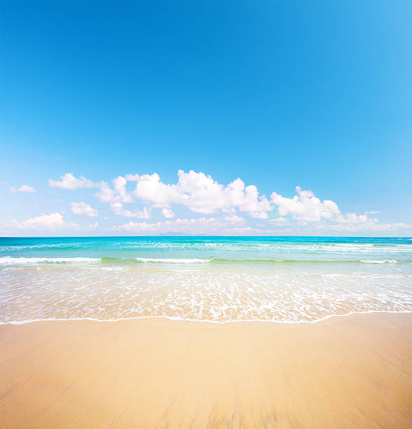 istock beach and tropical sea 501358684