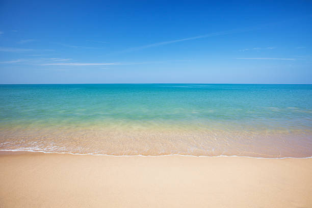 istock beach and tropical sea 501358918