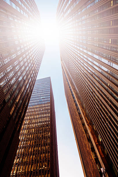 istock Corporate buildings in a modern city 501359102