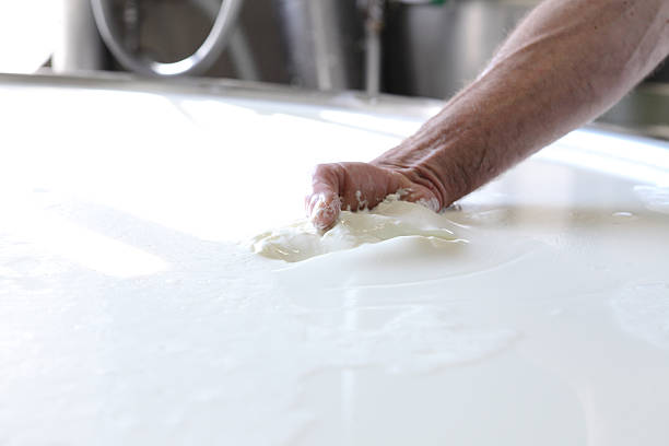 manos que preparar el queso de productos lácteos - cuajar fotografías e imágenes de stock