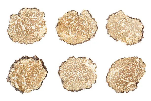Black truffle slices collection isolated on white, clipping path included
