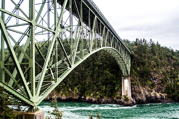 istock Green Metal Bridge Over River Into Forest 501361040