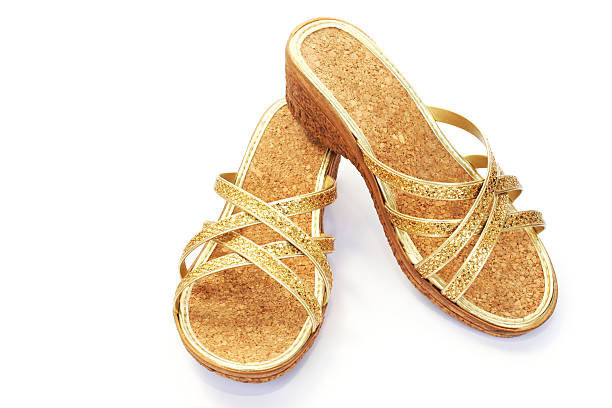 istock Womanish shoes 501361787