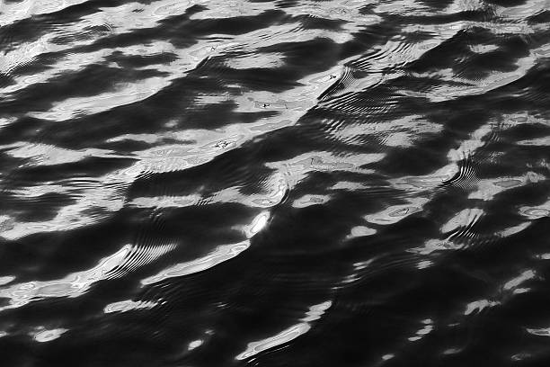 istock Drifting ripples on a lake in black and white 501361974