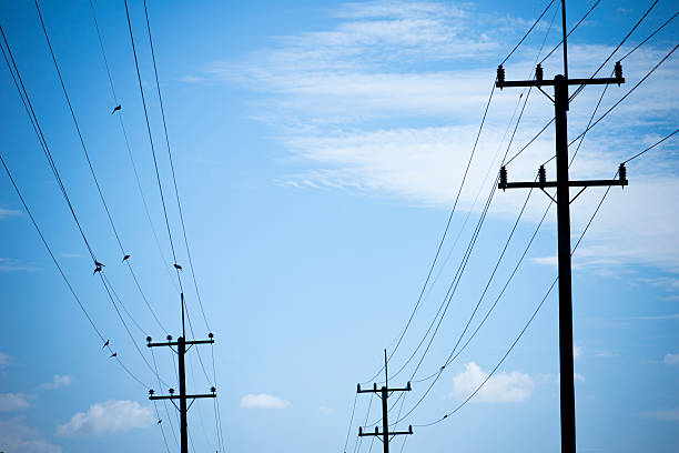 istock electricity post, chaotic wire with birds on blue sky background 501362086