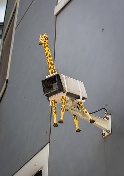 kamery bezpieczeństwa z żyrafa - surveil zdjęcia i obrazy z banku zdjęć
