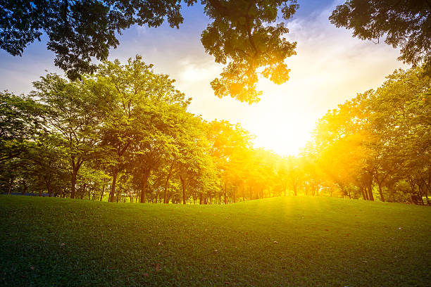 istock Nature landscape and sunset 501362354