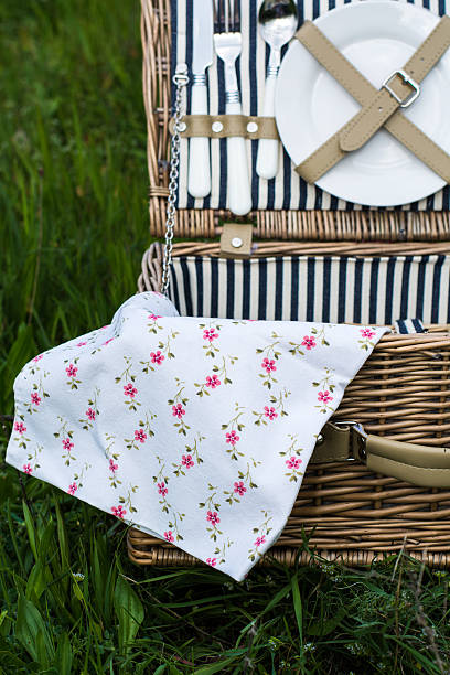 istock picnic basket stock photo 501362579