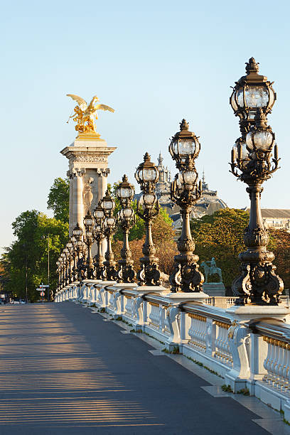 istock Alexander III bridge in Paris, empty in the morning 501362688