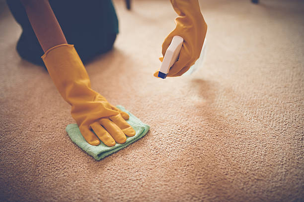 Removing stain Close-up image of woman removing stain from the carpet carpet stock pictures, royalty-free photos & images