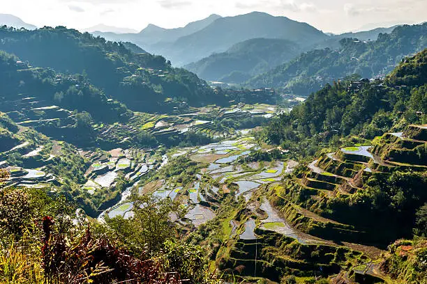 the famous rice-terraces of Banaue, Luzon, Philippines